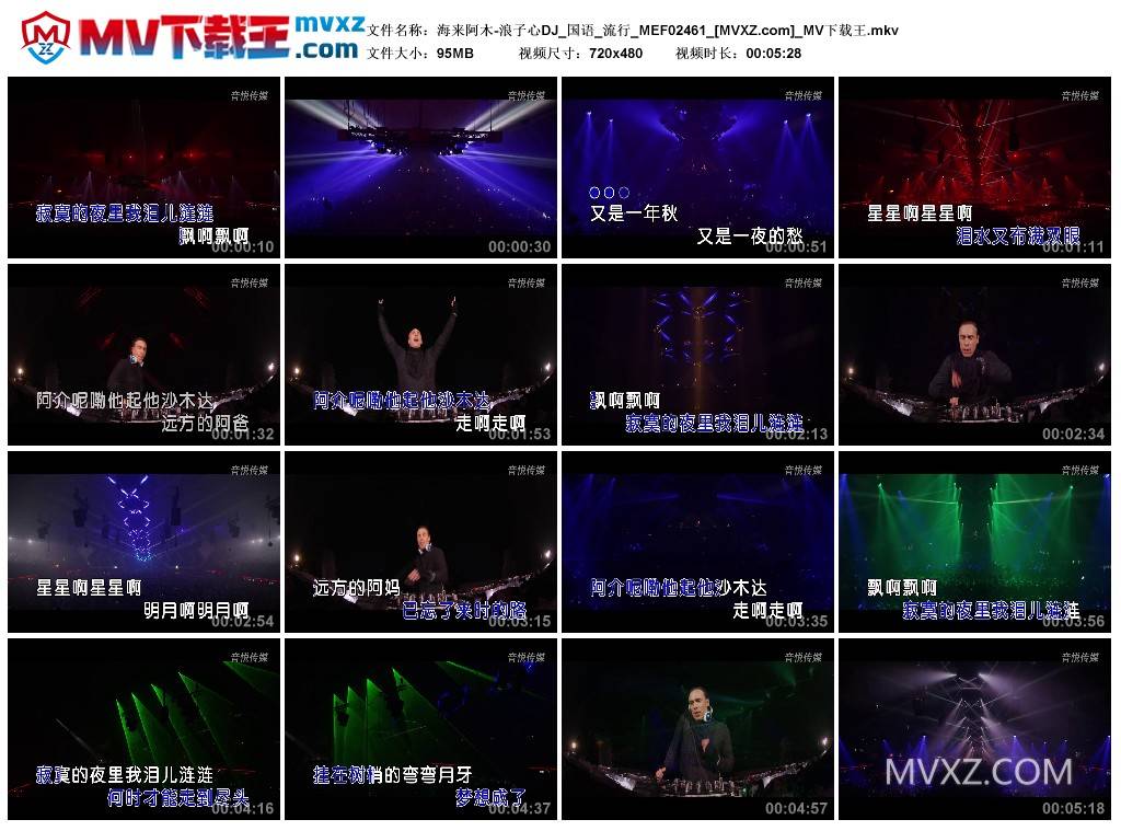 海来阿木-浪子心DJ_国语_流行_MEF02461